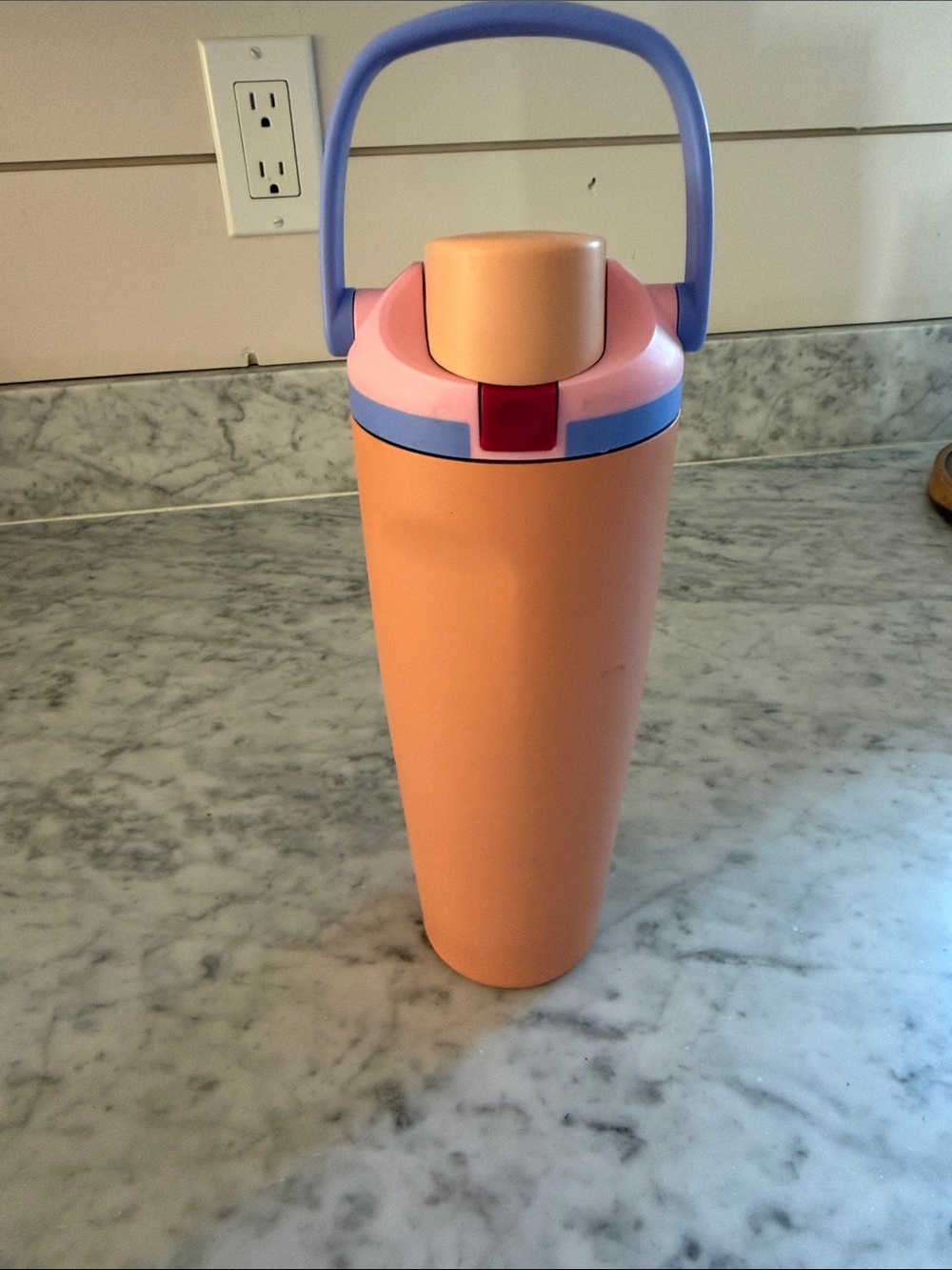Insulated Drink Bottle - Peach with Lavender Handle